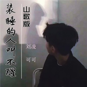 Listen to 装睡的人叫不醒（山歌版） (完整版) song with lyrics from 陈可可