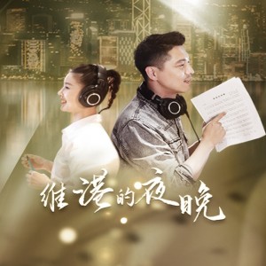 Listen to 维港的夜晚 song with lyrics from 王雷 