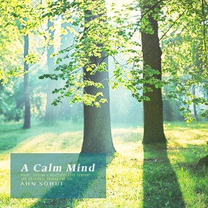 อัลบัม A Calm Mind ศิลปิน Ahn Sohui
