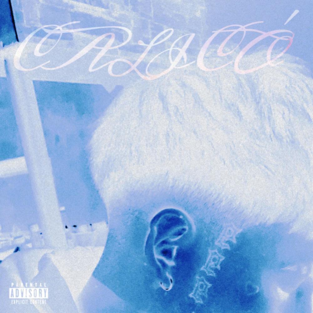 Dominao (feat. Akisata) (Explicit)