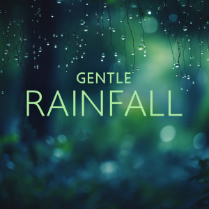 Healing Rain Music Zone的專輯Gentle Rainfall (A Melodic Journey through Rain, Forests, and Celestial Dreams - Tranquil Symphonies for Meditation and Serenity)