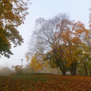 Wil Bolton的專輯Sodermalm In Autumn