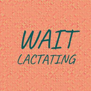 ดาวน์โหลดและฟังเพลง Hectarage Hopping พร้อมเนื้อเพลงจาก Jase Tafe