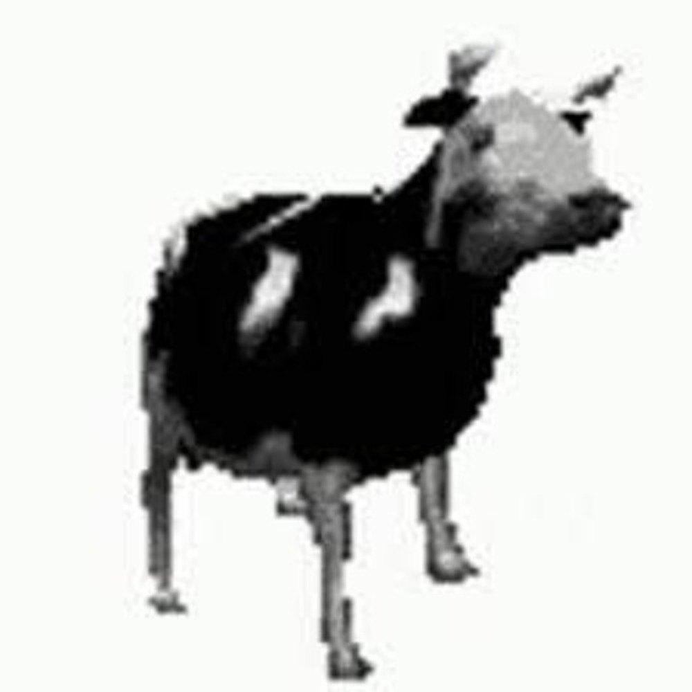 Repolished Cow (Explicit)
