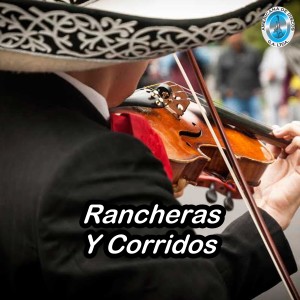 Listen to Moneda Falsa song with lyrics from Eduardo Palacio