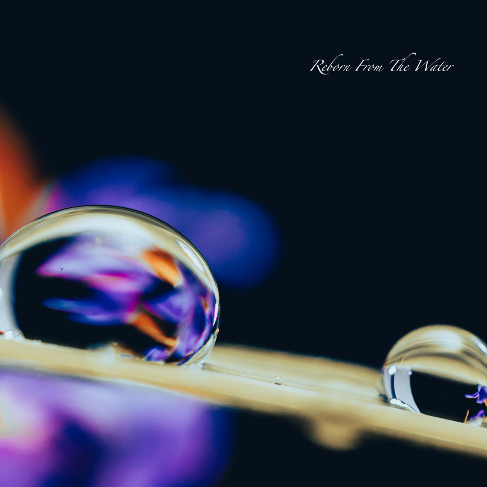 Reborn From The Water