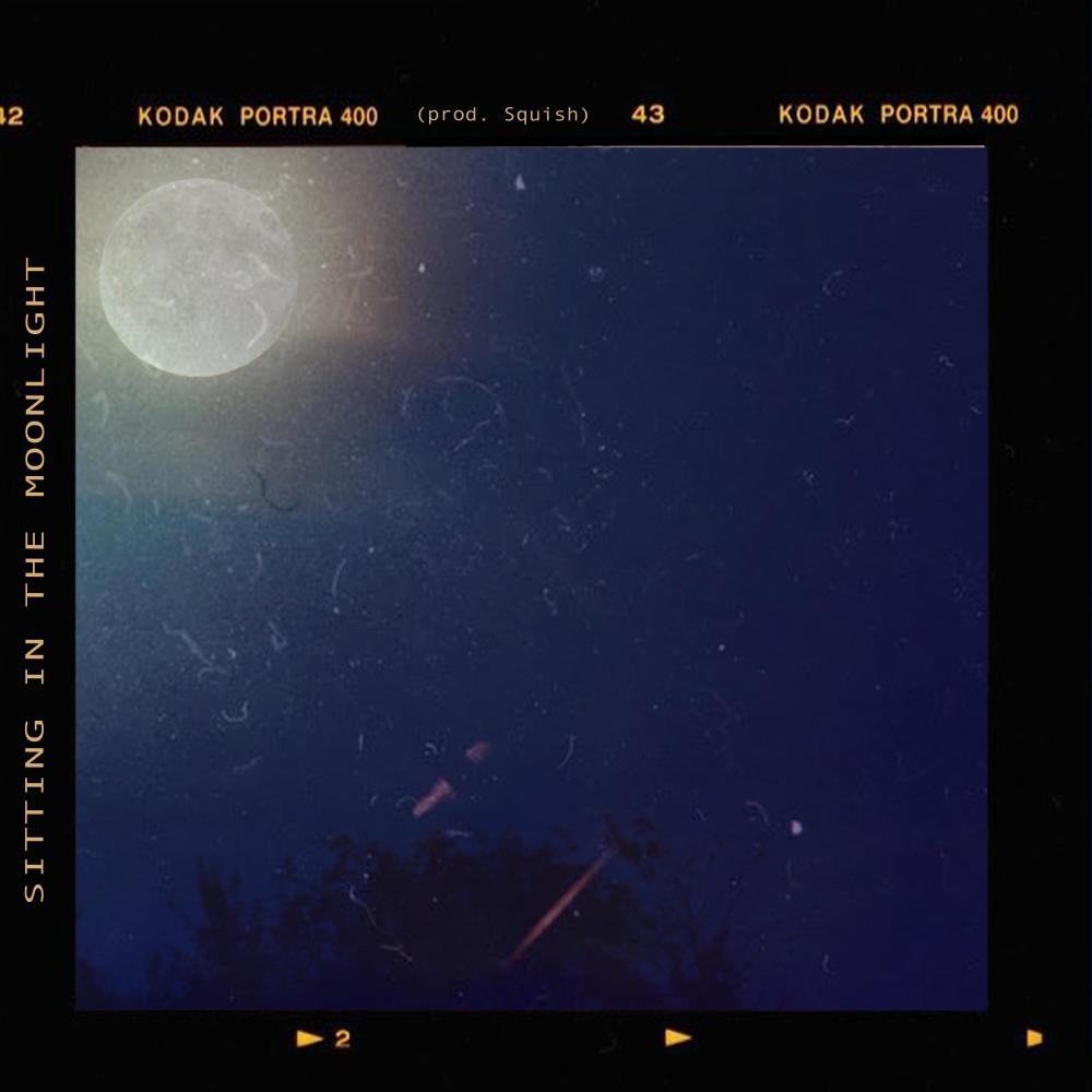 Sitting In The Moonlight