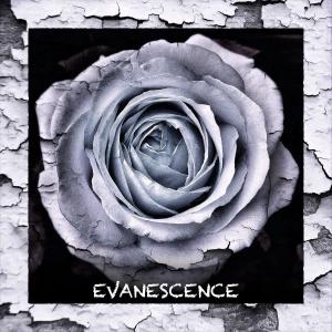 Listen to Evanescence song with lyrics from Michael Adels