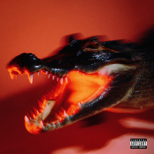 Album In the Cut (Explicit) from DC Willie