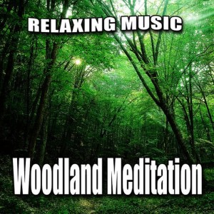 Relaxing Music的專輯Woodland Meditation (Nature Sounds with 1 Hour of Music)