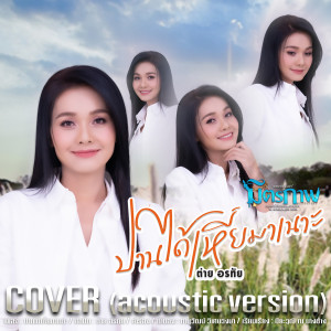 ดาวน์โหลดและฟังเพลง ปานได้เหี่ยมาเนาะ (Acoustic Version) พร้อมเนื้อเพลงจาก ต่าย อรทัย