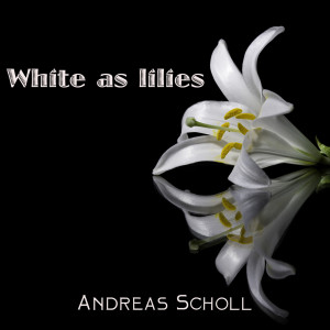 อัลบัม White as Lilies ศิลปิน Andreas Scholl