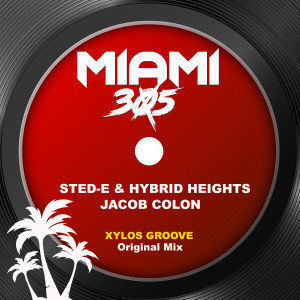 Sted-E & Hybrid Heights的專輯Xylos Groove (Original Mix)