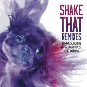 Album Shake That (Remixes) from Tommie Sunshine & Disco Fries