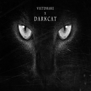 ดาวน์โหลดและฟังเพลง Dark Cat พร้อมเนื้อเพลงจาก Viet Drake