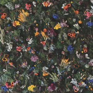 ดาวน์โหลดและฟังเพลง Colourblind พร้อมเนื้อเพลงจาก Winterbourne