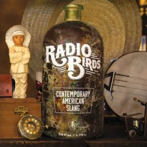 ดาวน์โหลดและฟังเพลง Time Ranger พร้อมเนื้อเพลงจาก Radio Birds