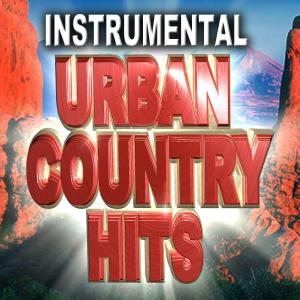 ดาวน์โหลดและฟังเพลง Red (Instrumental Version) พร้อมเนื้อเพลงจาก Modern Cowboys