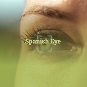 Dengarkan lagu Spanish Eyes nyanyian Ernest Ranglin dengan lirik