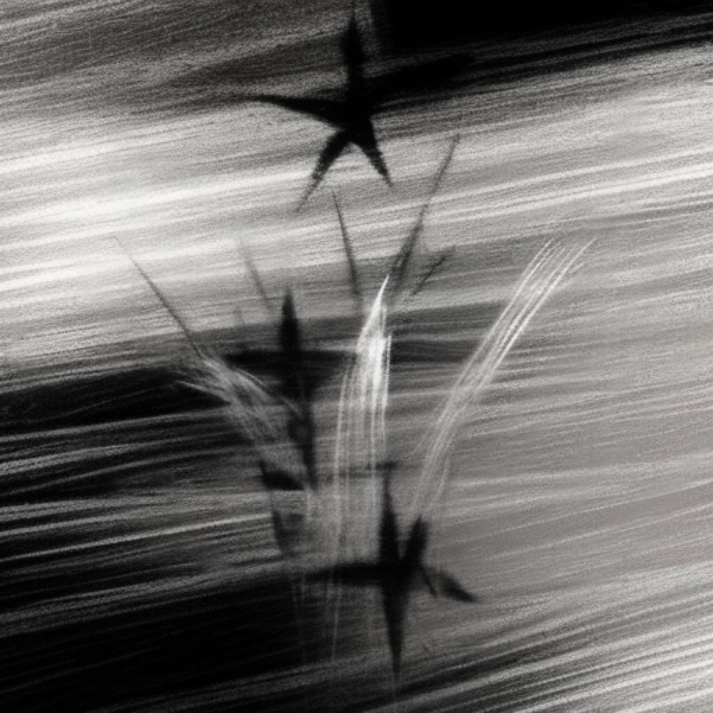 Trinity (Explicit)
