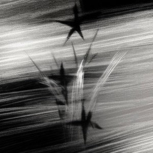 收聽Coolboi的Trinity (Explicit)歌詞歌曲