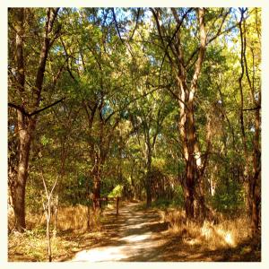 收聽Tigerblind的Every Word Around Me Just Unravels歌詞歌曲