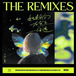 RE-D的專輯如果我們在餘生相遇（The Remixes）