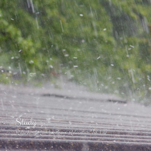 Listen to Weather Precipitation song with lyrics from Bosque Tropical