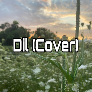 Dil (Cover)