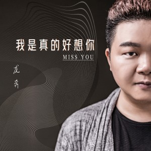 Listen to 我是真的好想你 song with lyrics from 龙奔