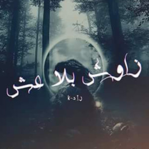 Listen to Zawech Bla 3ech song with lyrics from Zedk