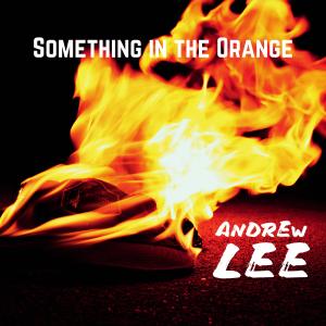 Andrew Lee的專輯Something in the Orange