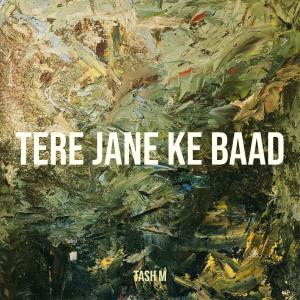 Listen to Tere Jane Ke Baad song with lyrics from Tash M
