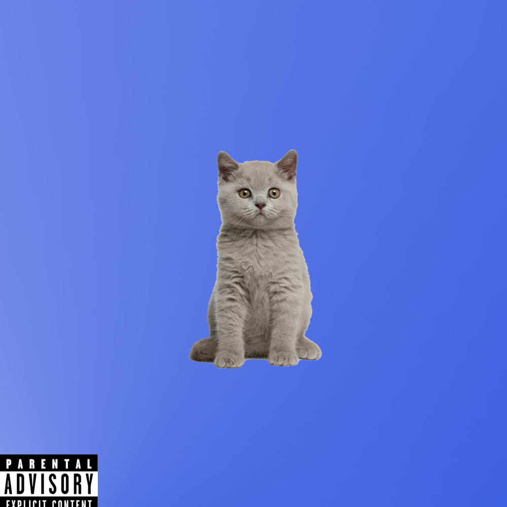 Подлокотник (Explicit)