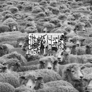 $UICIDEBOY$的專輯Grey Sheep II (Explicit)