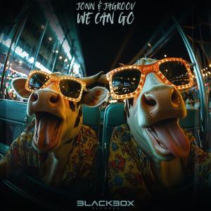 ดาวน์โหลดและฟังเพลง We Can Go (Radio Edit) พร้อมเนื้อเพลงจาก Jagroov