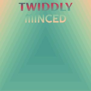 Twiddly Minced dari Various