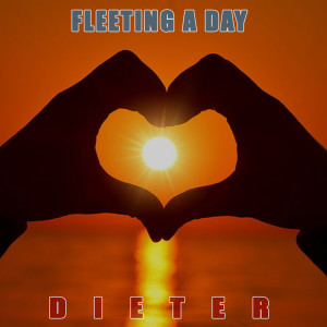 Album Fleeting a Day from Dieter