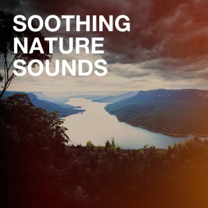 Album Soothing Nature Sounds from Nature Sounds Nature Music