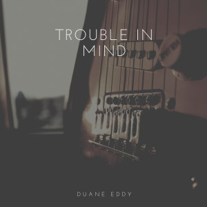 Dengarkan lagu You Are My Sunshine nyanyian Duane Eddy dengan lirik