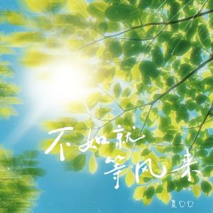 Listen to 不如就等风来 (伴奏) song with lyrics from 夏心心