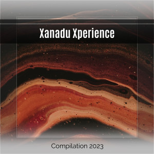 Various Artists的專輯Xanadu Xperience