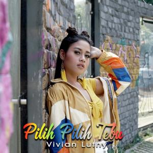收聽Vivian Lutfy的Pilih Pilih Tebu歌詞歌曲