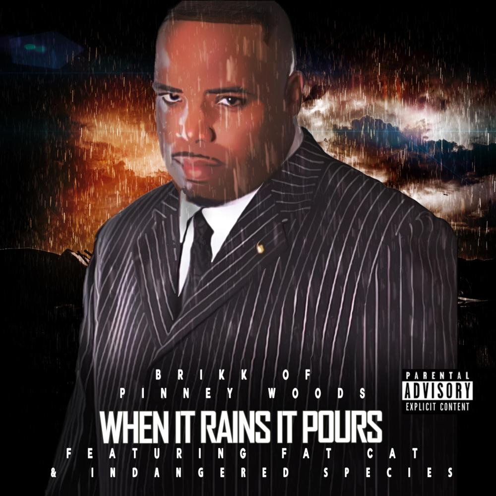 When It Rains It Pours (feat. Fat Cat & Indangered Species) (Explicit)