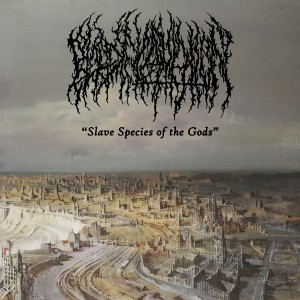 ดาวน์โหลดและฟังเพลง Slave Species of the Gods พร้อมเนื้อเพลงจาก Blood Incantation
