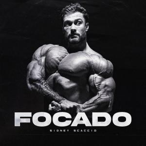 ดาวน์โหลดและฟังเพลง Focado พร้อมเนื้อเพลงจาก Sidney Scaccio