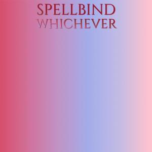 อัลบัม Spellbind Whichever ศิลปิน Various