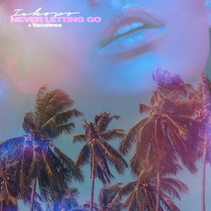 收聽Iakopo的Never Letting Go歌詞歌曲