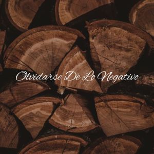 Listen to Olvidarse De Lo Negativo song with lyrics from Dj Ritmo