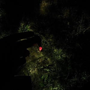 收聽KASHËEË的Ohio nihhas (Kdot diss) (Explicit)歌詞歌曲